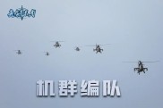 一线参赛队伍备战表现优异，备战情况备受关注的简单介绍