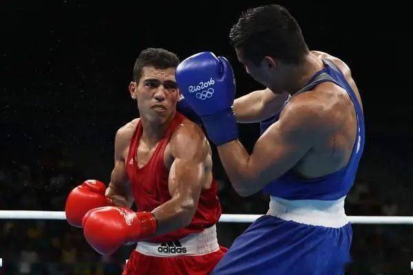 开云·体育app中国-荷兰进攻